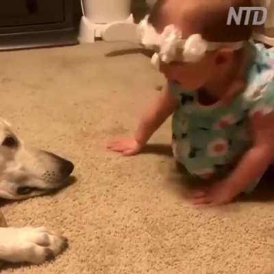 lets trade boops