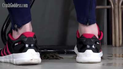 Craws crush in Sneakers 