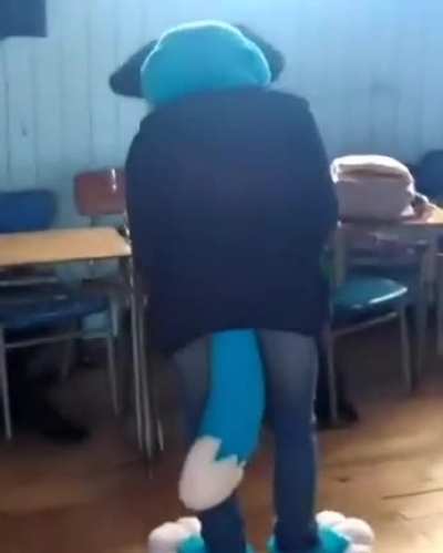 Furro_irl