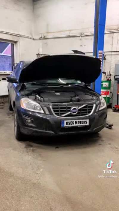What sound would your car make?