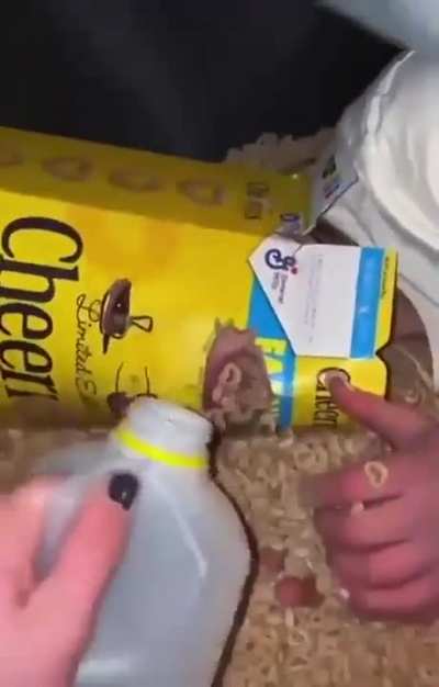 Cheerios