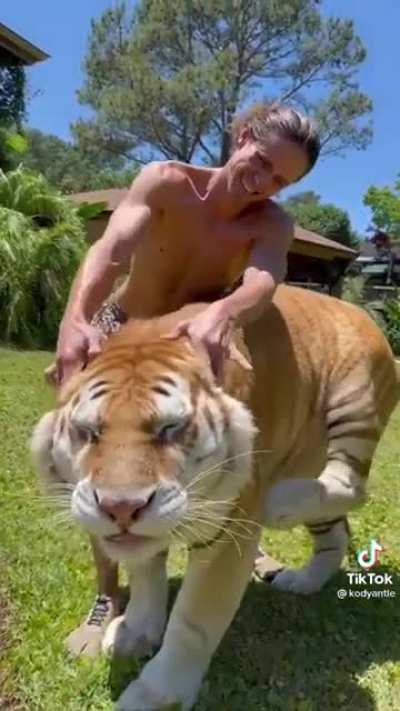 THICK CAT
