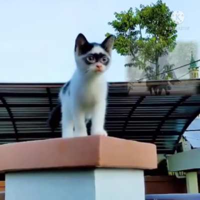 Smol Hero.