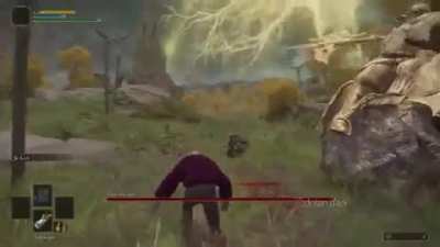 The Average Elden Ring Experience