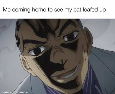 Fresh beans