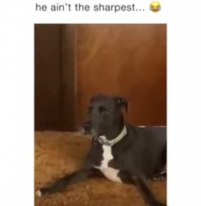 What was it?