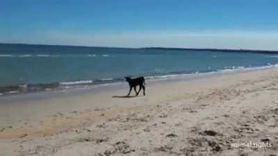Loving the Beach