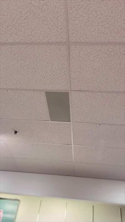 Dreamybull vs store microphone
