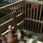 Pato foda ta on
