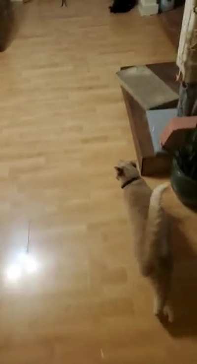He is HUNGRY