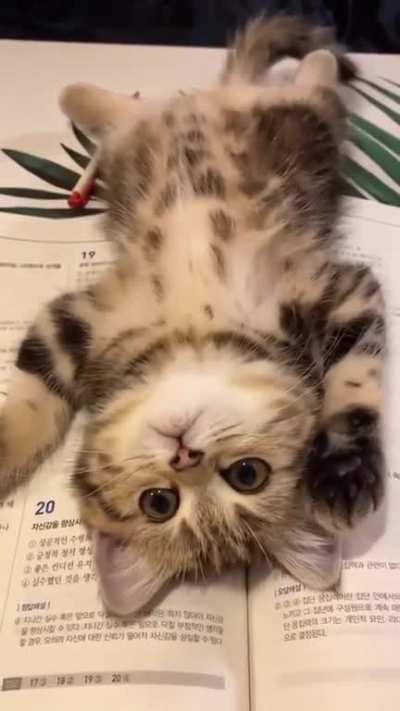 💝