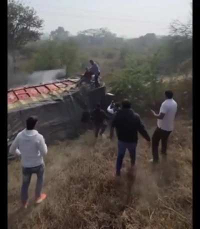 Cow vigilante tries to 
