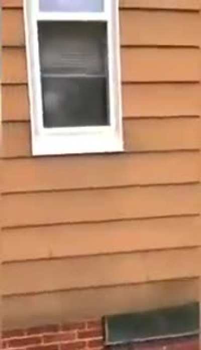 With this dog, no one is breaking into this house!