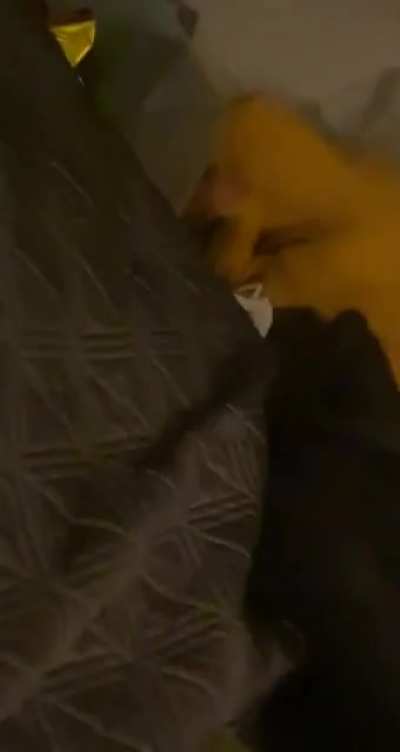POV: You’re laying in bed eating Domino’s and you look over to see this