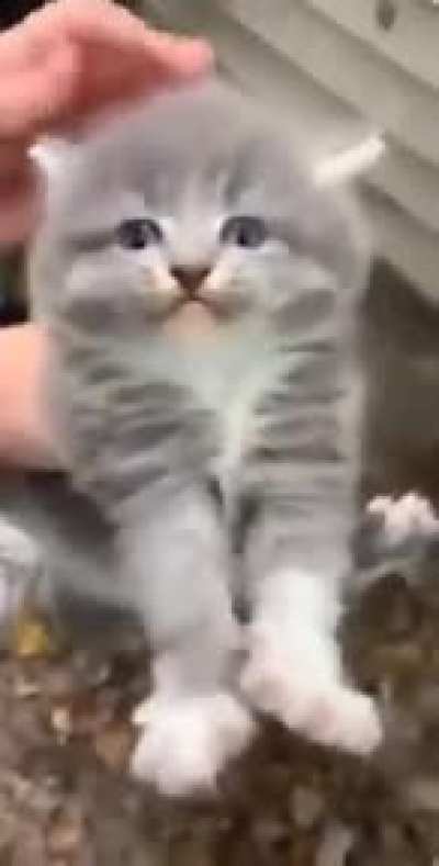 Yes