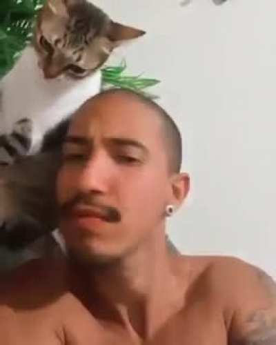 :(