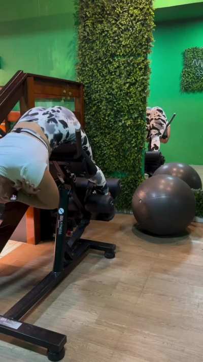 Rayfit