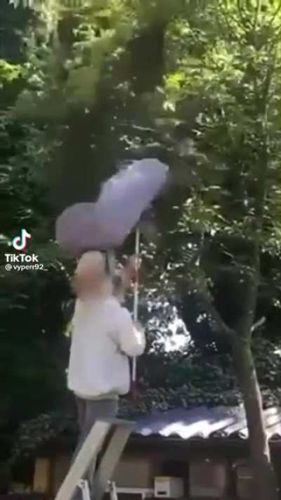 Found on TikTok