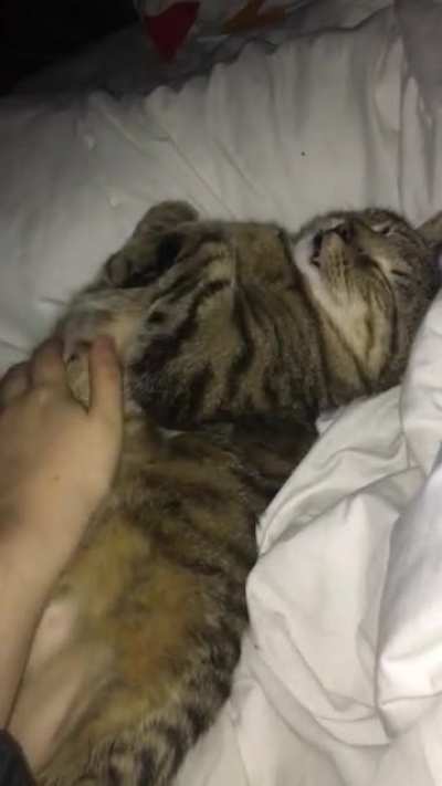 Late night cuddles with my husbando