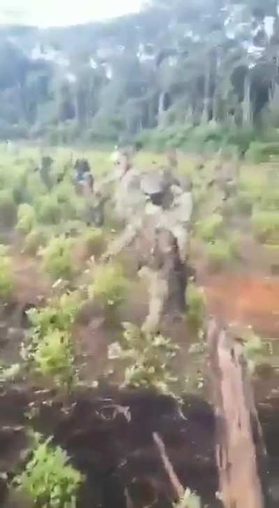 Cuál es el animal? Subí este video al grupo r/Colombia, que fue donde ocurrio esto. Lo subo a manera de denuncia y para generar un debate. El administrador del grupo me censuró. Si en algún caso es molesto. Me avisan y lo elimino. Pero creo que se deben d