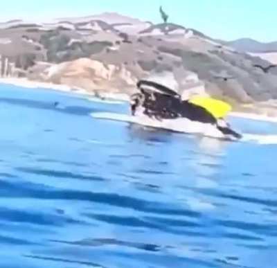 Bu, gökten orospu yağsa önüne ayna düşecek kişi işte.