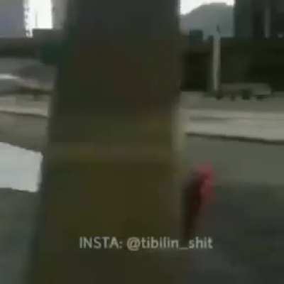 Uma história de superação, de uma galinha é a rua