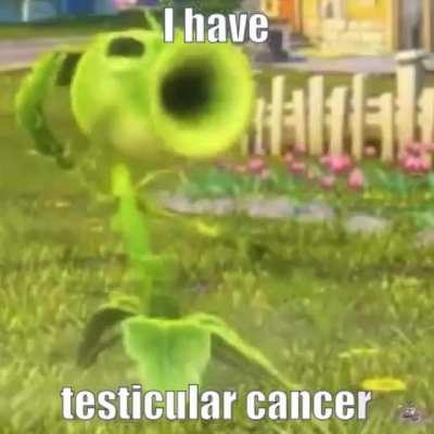 🥒