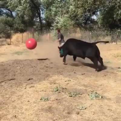 Living their best life