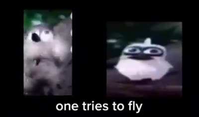 Sad