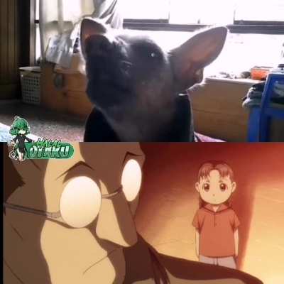 oh no...