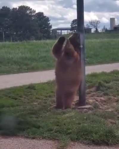 А теперь, танцы!