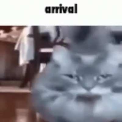 he