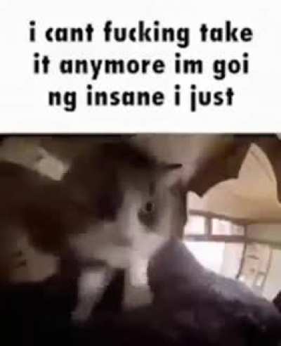 4309