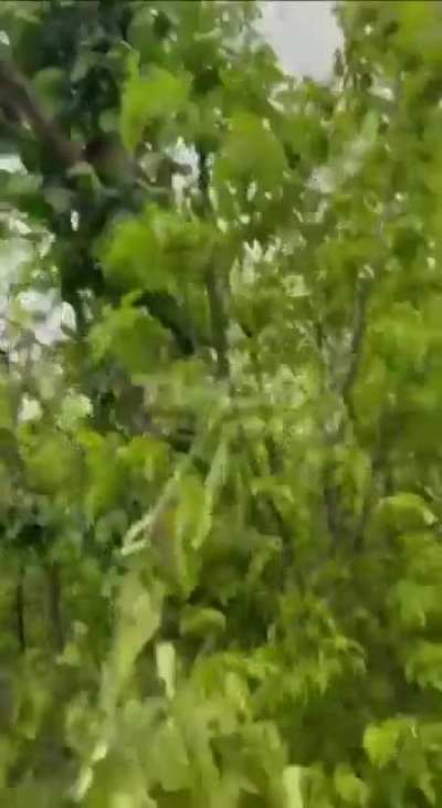 Tank crew member filming two Ukrainian Mi-8s firing at Russian positions. Exact date not mentioned, but it is spring 2024