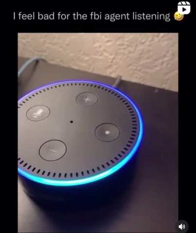 Getting Alexa to fart for you