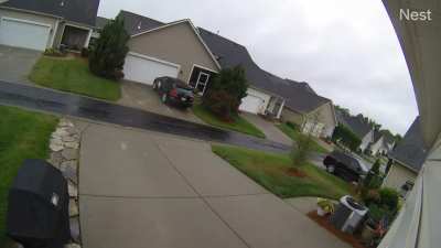 Caught this on my driveway cam this morning. Can't tell if ya'll can hear sound, but it increased the lol for me.