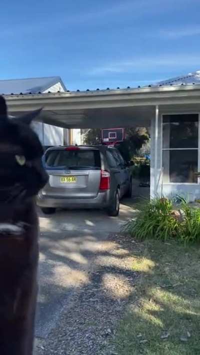 Site supervisor was watching me very close today