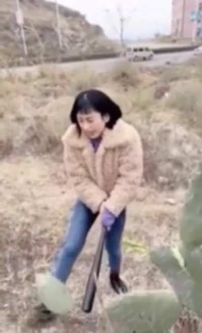 Cactus abuse…