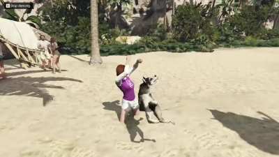 You can go to Cayo Perico as an animal and dance. How kind of El Rubio to let animals enjoy the party too, truly a progressive drug lord!