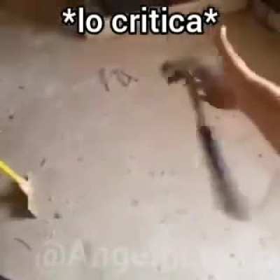 *lo critica*