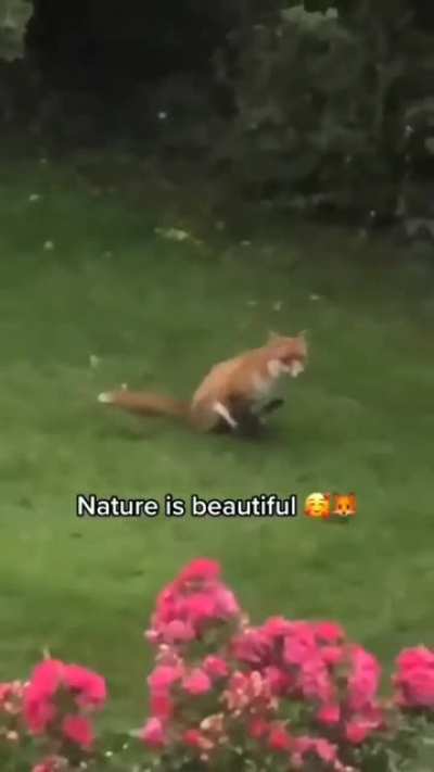 Nature is so beautiful ❤