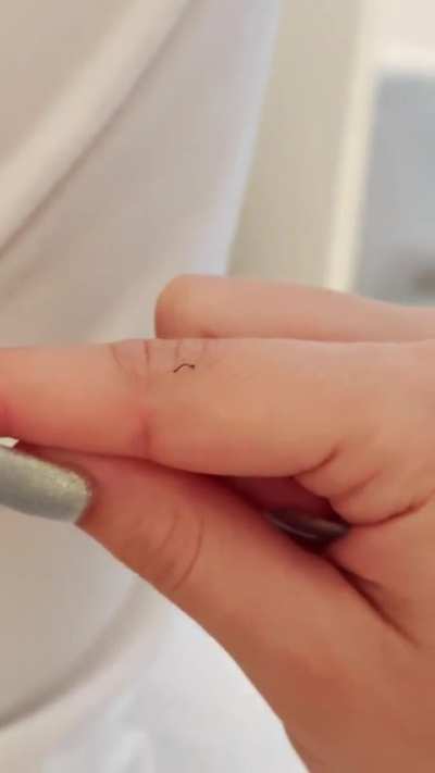 Worm? Insect?