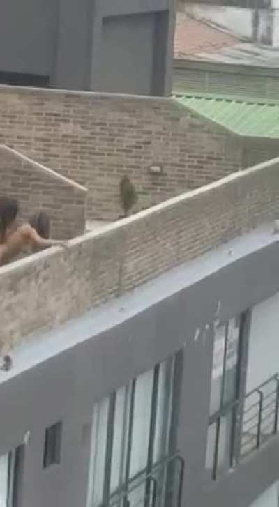 Wild Rooftop Action