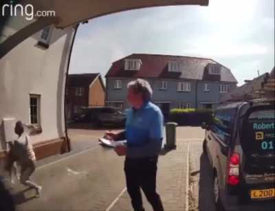 Woman saves dog jumping out of window