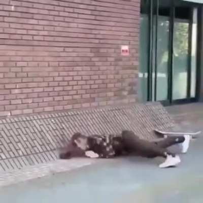 To skate up a wall