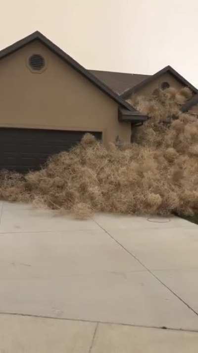 Normal day in Utah