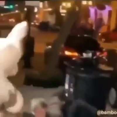 Chadposting - Video #6585