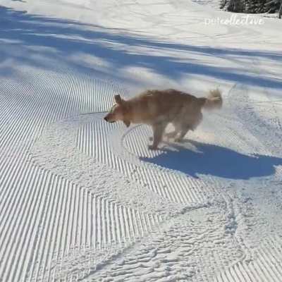 Slip sliding away