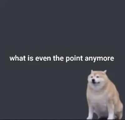 Why are we still here?