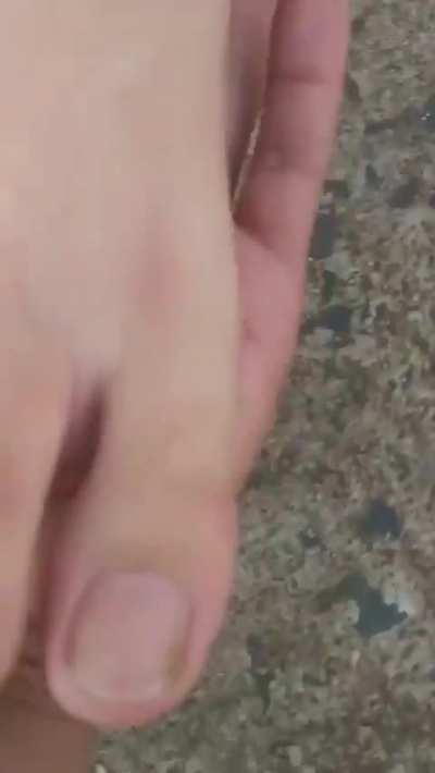 Os pezinhos da gata
